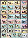 [Butterflies of Belize, 类型 I]