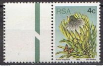 [Flora - Protea Plants, type PJ]