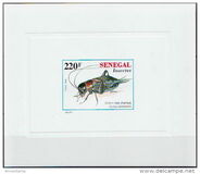[Insects, type AVJ]