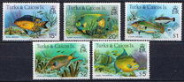 [Fish, type HX]