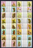 [Butterflies and Moths, 类型 CJ]