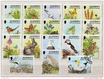 [Flora and Fauna, type BY]