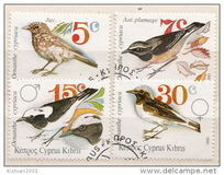 [Birds - Cyprus Wheatear, Typ WF]