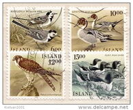 [Birds, type OZ]