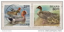 [Birds - Ducks, type RP]