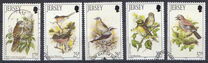 [Birds, type VX]
