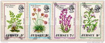 [Wild Flowers of Jersey, տեսակ AK]