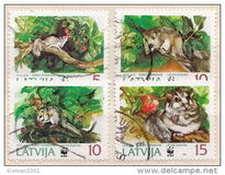 [The Fat Dormouse, тип EW]