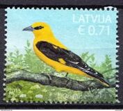 [Latvian Birds, ประเภท AAP]