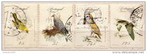 [Rare Birds, tegund BV]