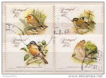 [Rare Birds, type CD]