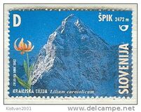 [Mountains & Flowers, type MW]