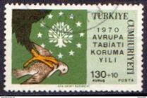 [Nature Conservation Year, Scrivi BIL]