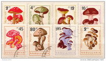 [Mushrooms, 유형 ANP]