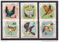 [Nature Conservation - Birds, Tip ALV]