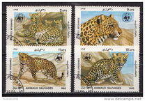 [WWF - Leopard, տեսակ ADH]