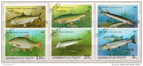 [Fish, tipas AP]