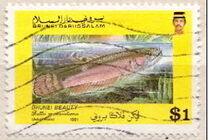 [Fish - Brunei Beauty, 类型 JX]