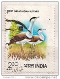 [International Symposium on Bustards, Juipur, ประเภท YP]