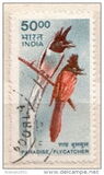 [Wildlife, type BJC]