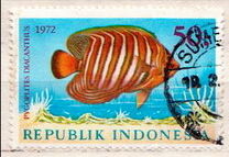 [Fish, type ABF]
