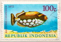 [Fish, type ABG]