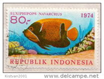 [Fish, type ADZ]