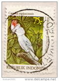[Cockatoos, type ANA]