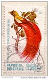[Birds of Paradise, type AOY]