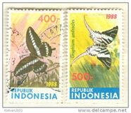 [Butterflies, type AWU]