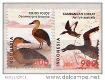 [Birds - Ducks, Tip BYJ]