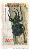 [Insects, տեսակ CDK]