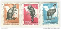 [Flora & Fauna, տեսակ F]