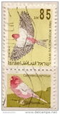 [Songbirds, type AUM]