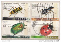 [Beetles, type AUN]