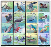 [Water Birds - Latham's Snip & Brown Booby, type CHE]