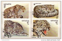 [The Snow Leopard, type X]