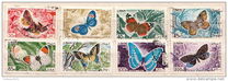 [Airmail - Butterflies, タイプ LX]