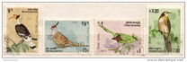 [Birds, type HN]