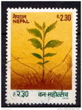 [Reforestation Campaign and Forest Festival, type IN]