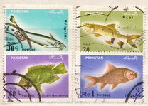 [Fish, type IF]