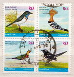 [Protected Wild Animals - Birds, tip AIO]