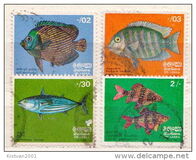 [Fish, տեսակ D]
