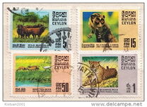 [Wildlife, тип GB]