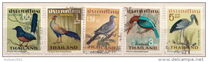 [Birds, Scrivi JU]