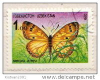 [Fauna - Butterfly, type B]