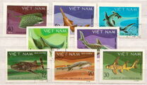 [Marine Life - Sharks & Stingrays, typ HH]