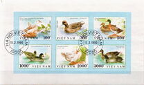 [Ducks, 类型 ASZ]