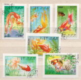 [Goldfish, 类型 ATR]