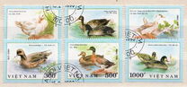 [Ducks, 类型 ASZ]
